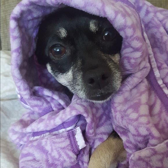 Thanks for stopping by CookiesCloset18 👗🐾 - Picture 2 of 3